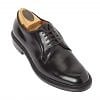 Alden black cordovan blutcher